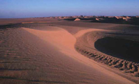 Ostsahara, Sudan: Bayuda- und Nubien-Expeditionen - Dünenlandschaft in der Bayuda Wüste